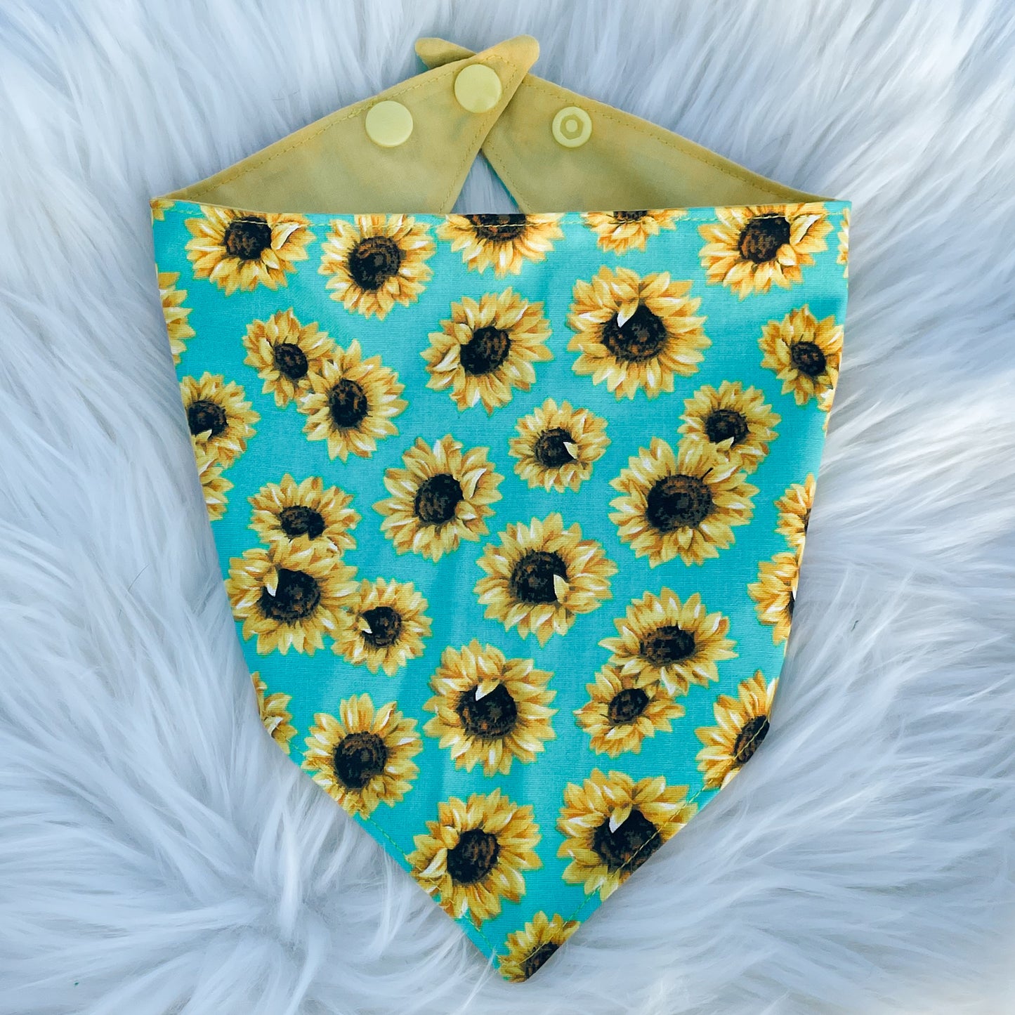 Teal Sunflowers