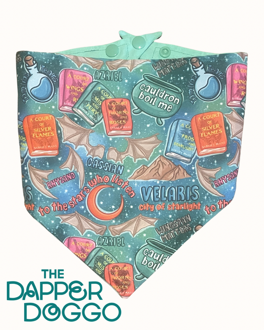 The City of Starlight